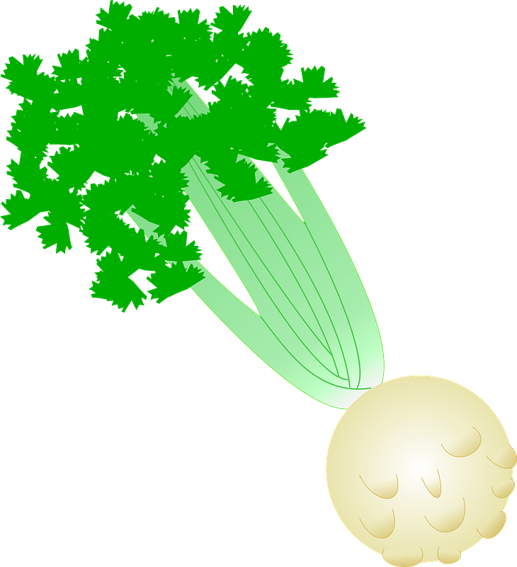 Celery Green File Transparent PNG Image