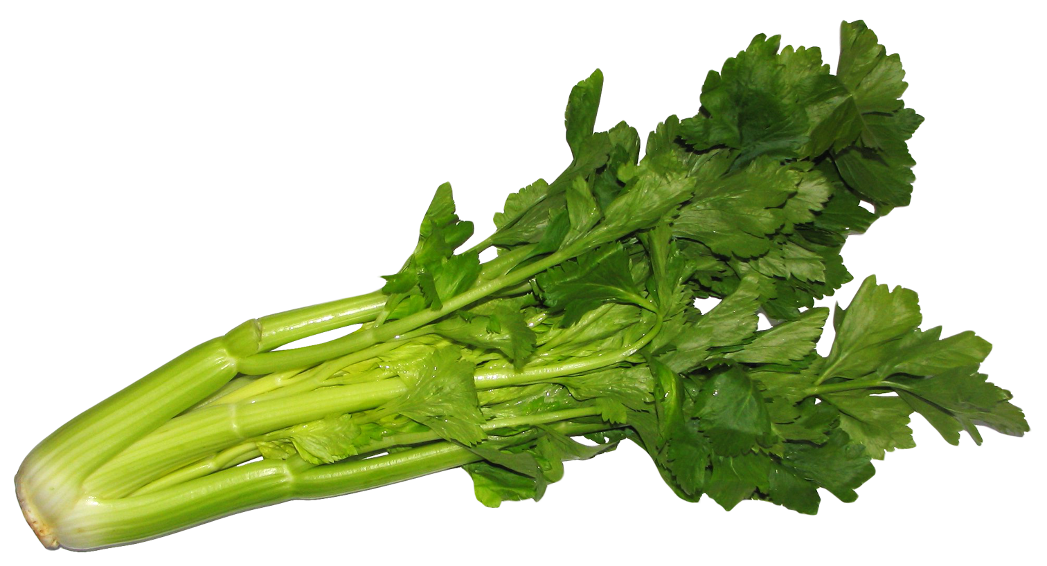 Celery Green Transparent PNG Image