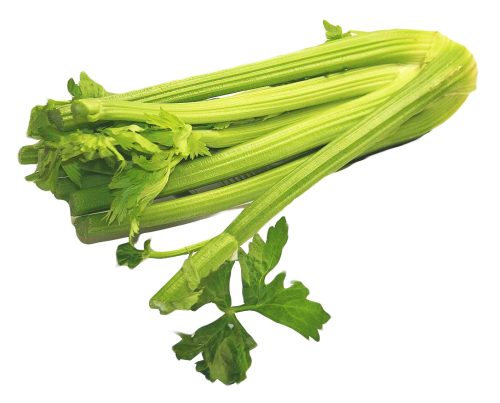 Celery Green Transparent PNG Image