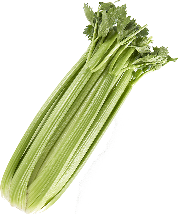 Celery Green Organic Transparent PNG Image
