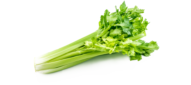 Celery Green Organic Transparent PNG Image
