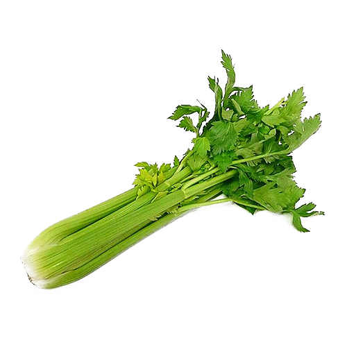 Celery Green Organic Transparent PNG Image