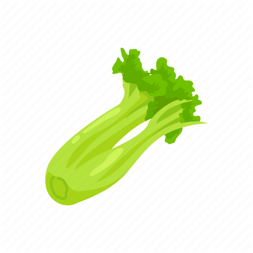 Celery Green Organic File Transparent PNG Image