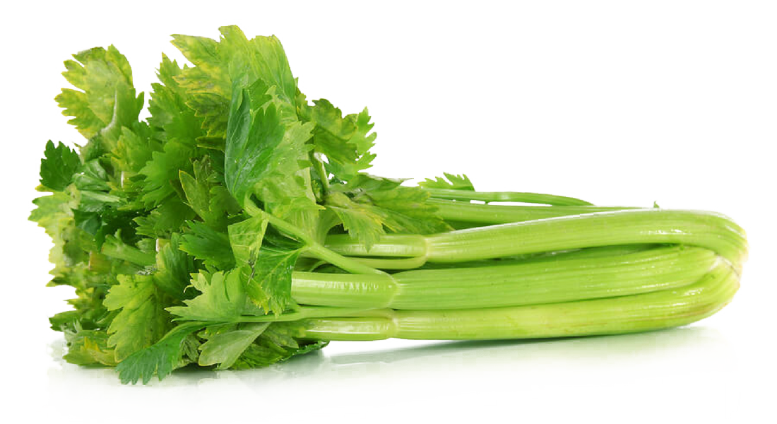 Celery Green Organic Transparent PNG Image
