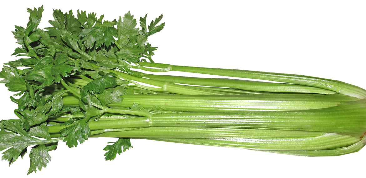 Celery Sticks Bunch Transparent PNG Image