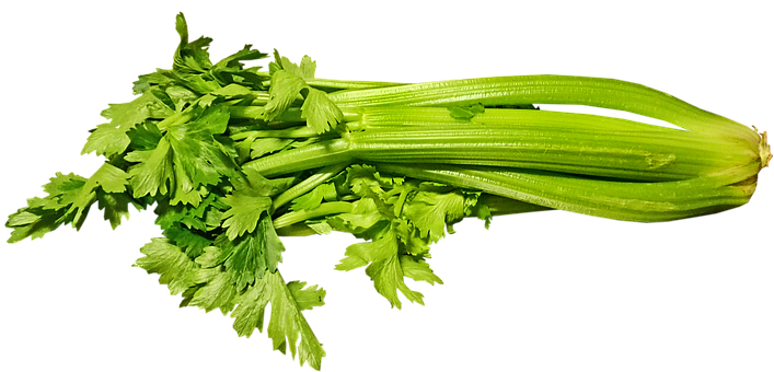 Celery Sticks Bunch Transparent PNG Image