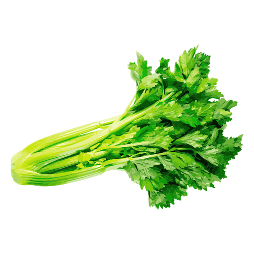 Celery Sticks Bunch Transparent PNG Image