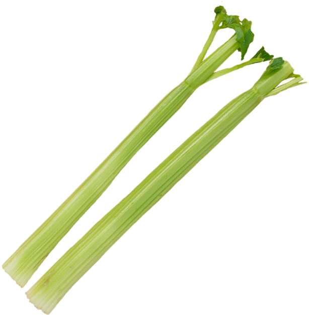 Celery Fresh Sticks Transparent PNG Image