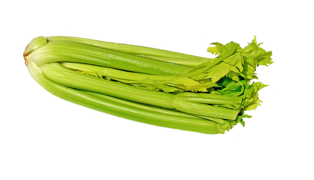 Celery Fresh Sticks Transparent PNG Image