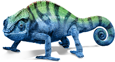 Chameleon Transparent PNG Image