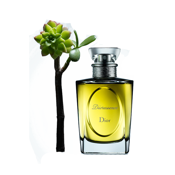 Oil Christian Chanel Designer Dior Perfume Essential Transparent PNG Image