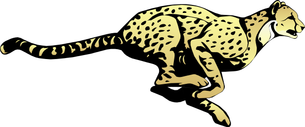 Cheetah Transparent PNG Image