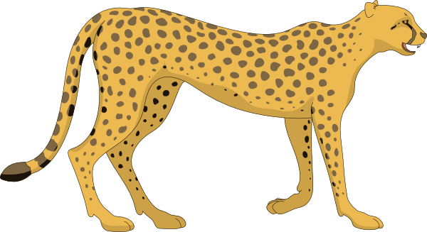 Cheetah Transparent PNG Image