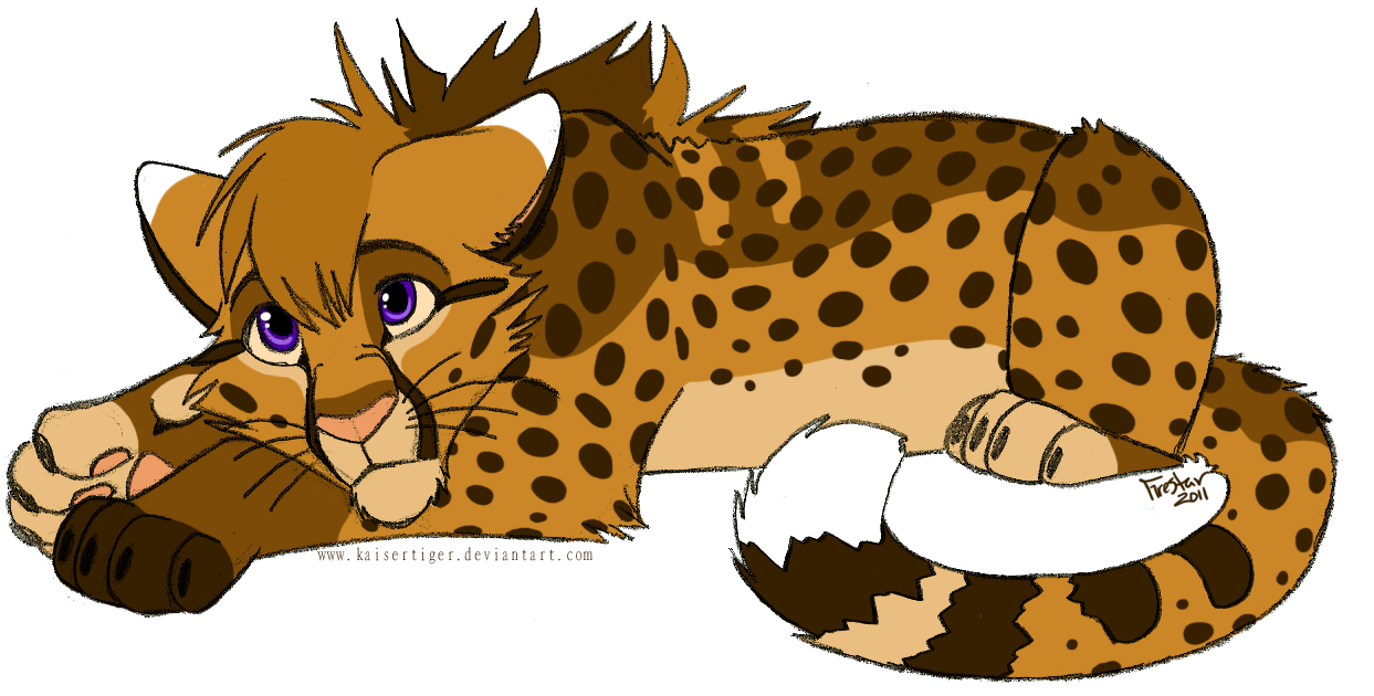 Cheetah Background Transparent PNG Image