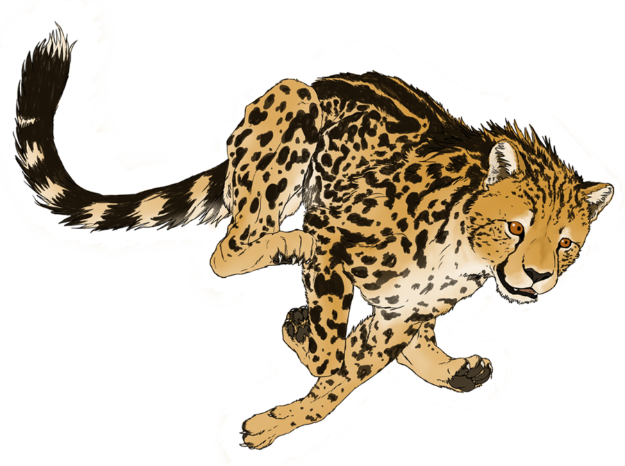 Cheetah Transparent PNG Image