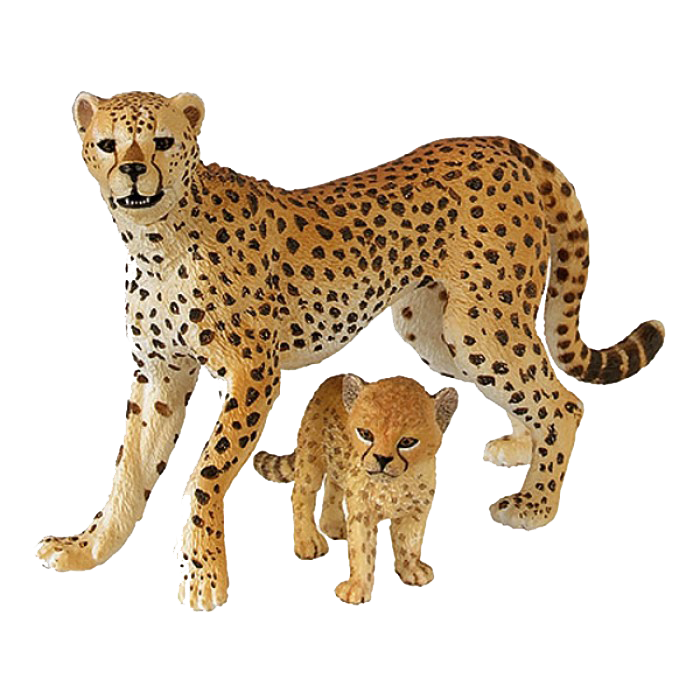 Cheetah Transparent PNG Image