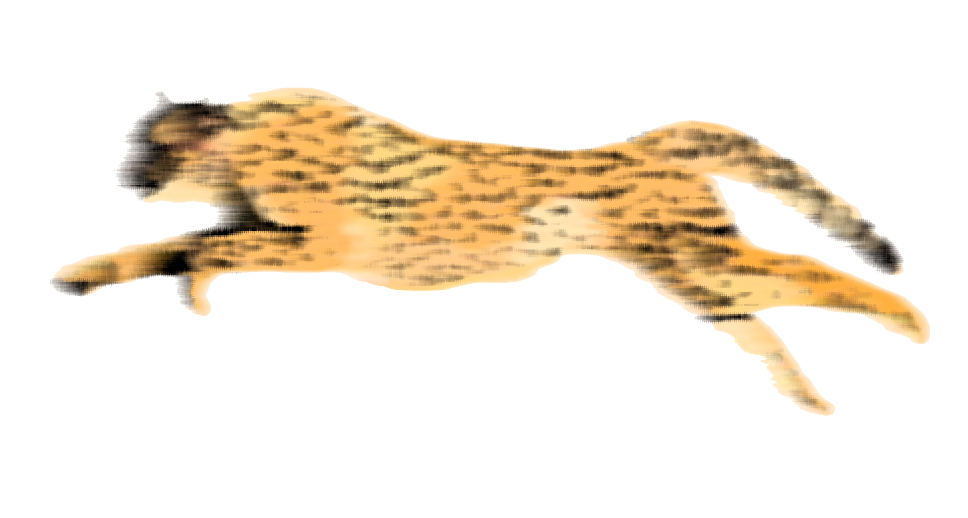 Cheetah Transparent PNG Image