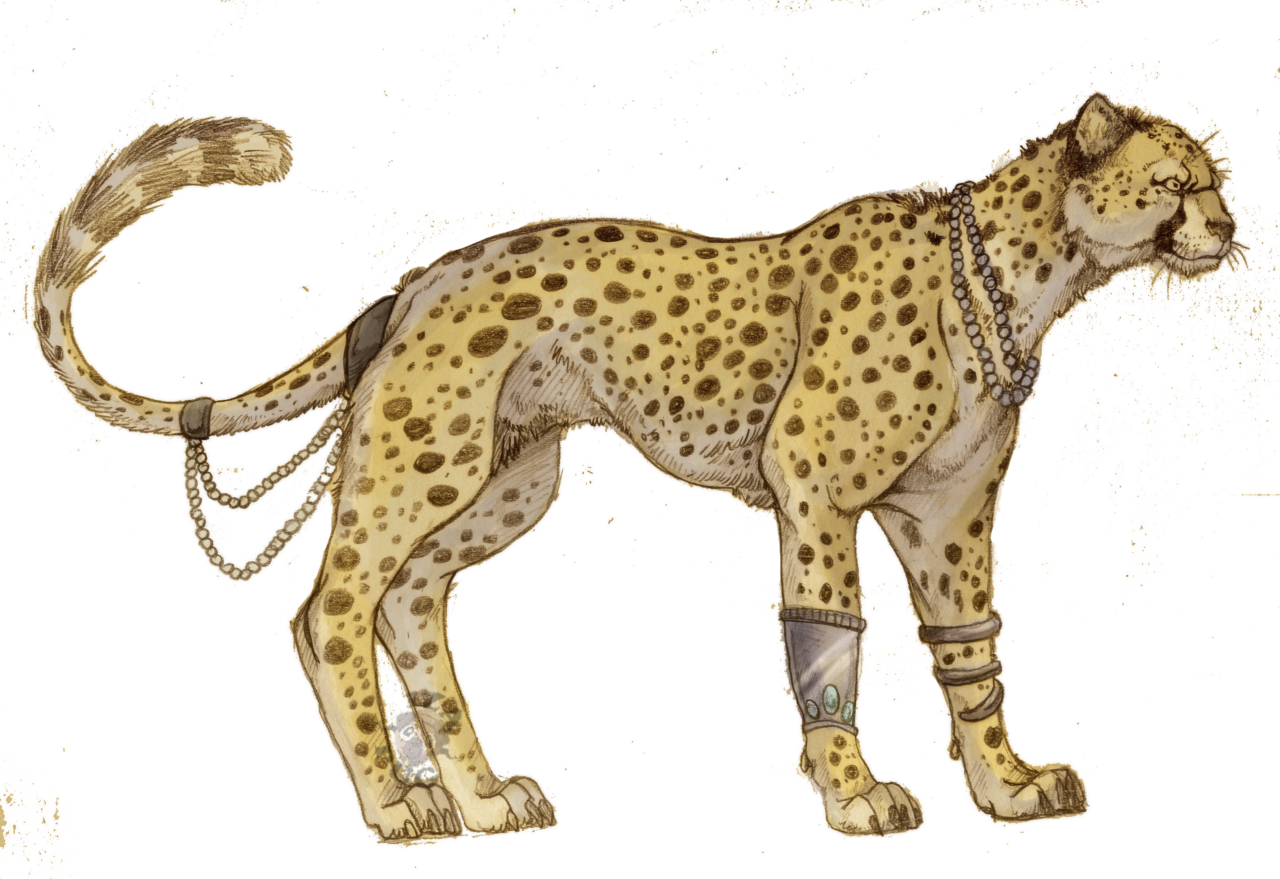 Cheetah Transparent PNG Image