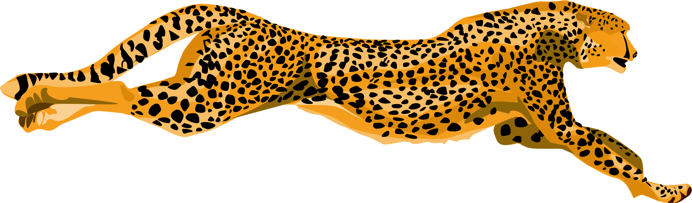 Cheetah Transparent PNG Image