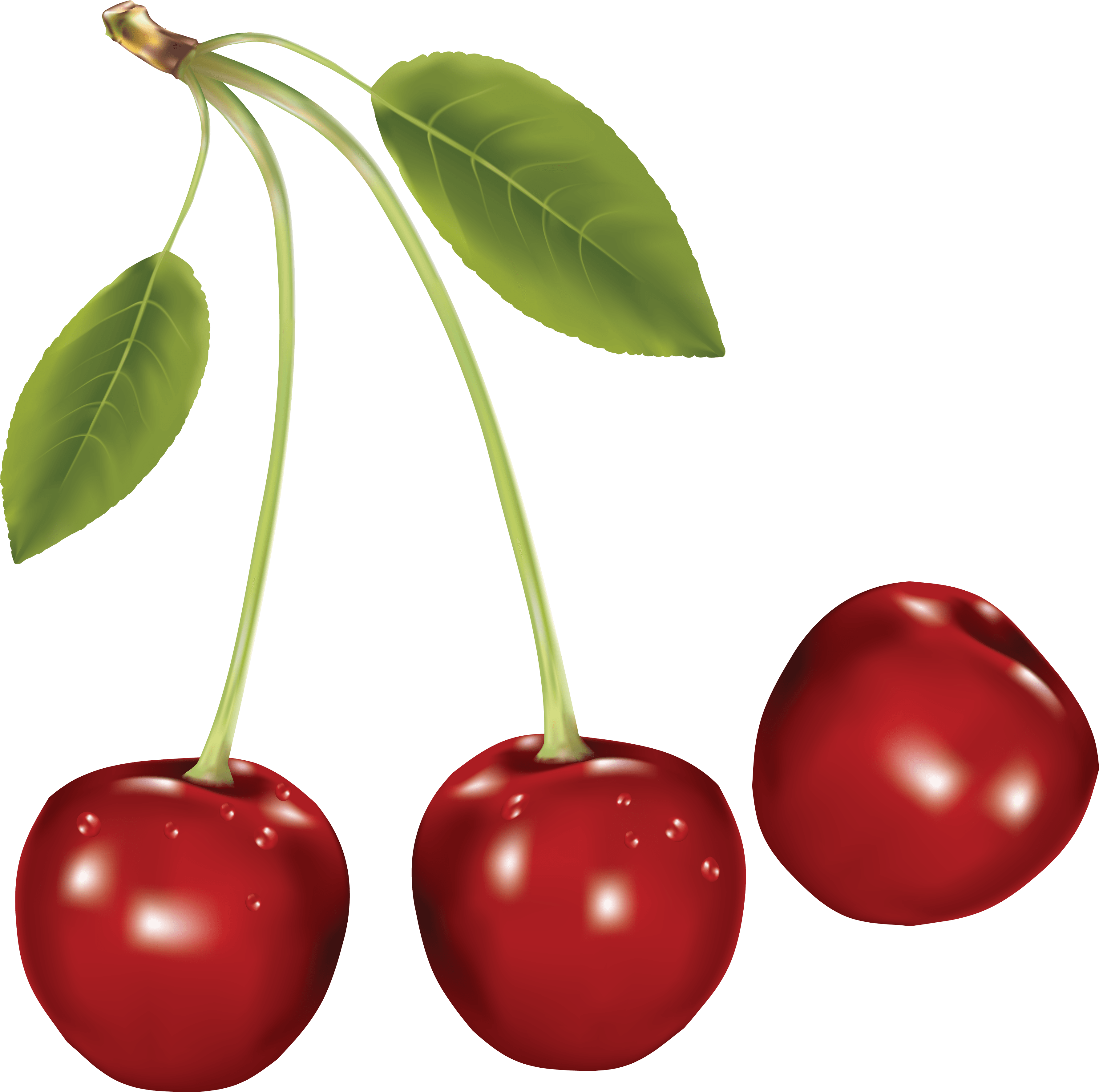 Cherries Transparent PNG Image