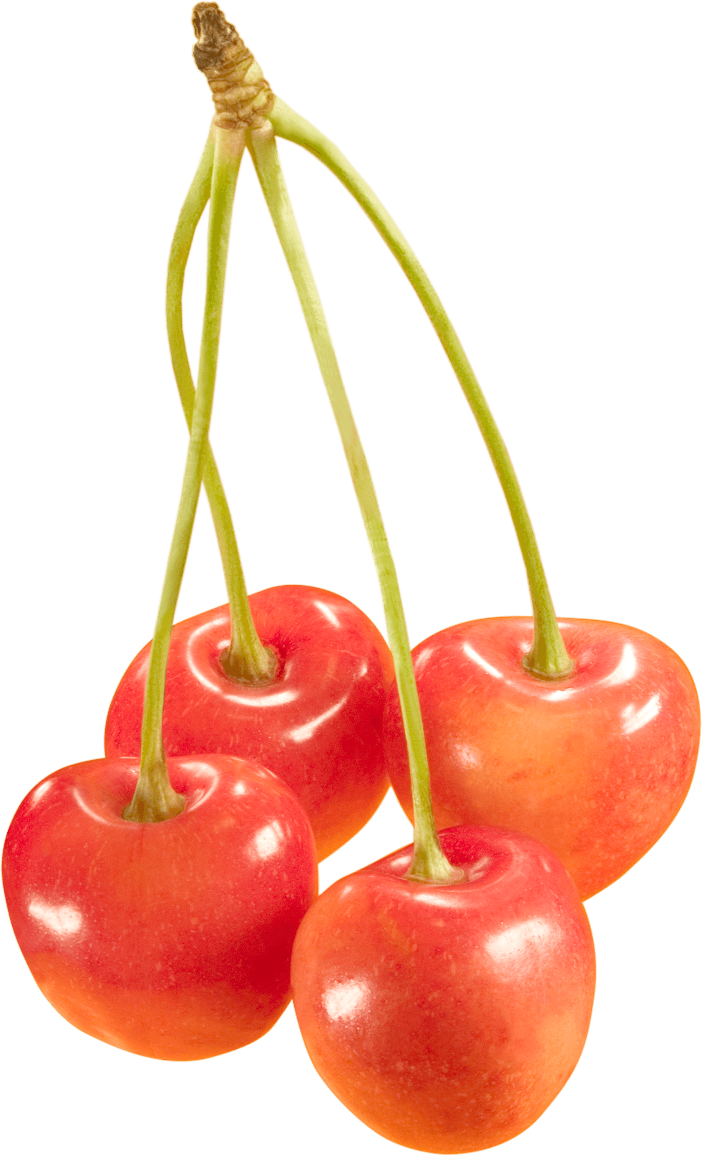 Cherries Transparent PNG Image