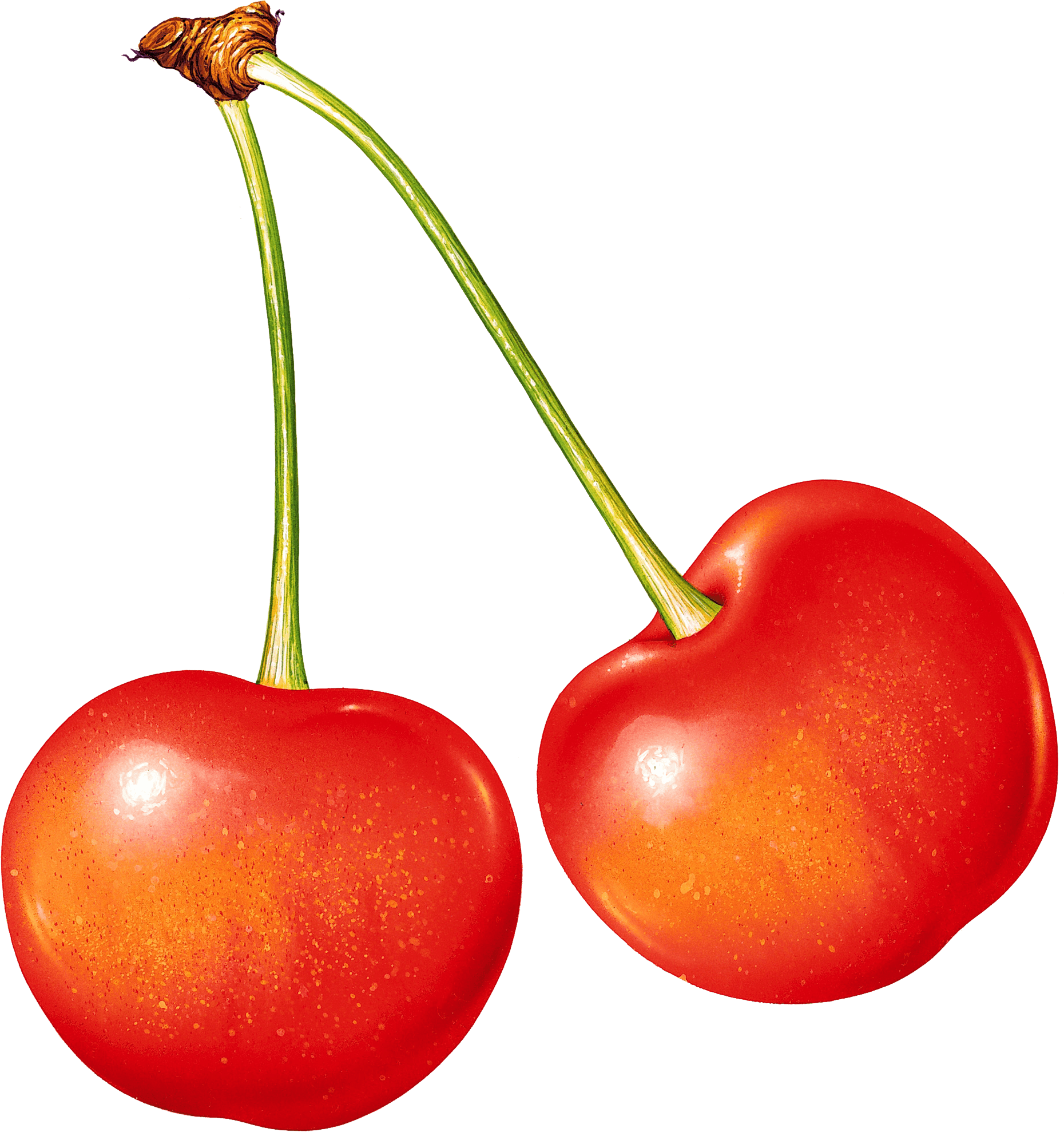 Cherry Transparent PNG Image