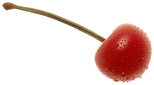 Cherry Fruit Background Transparent PNG Image