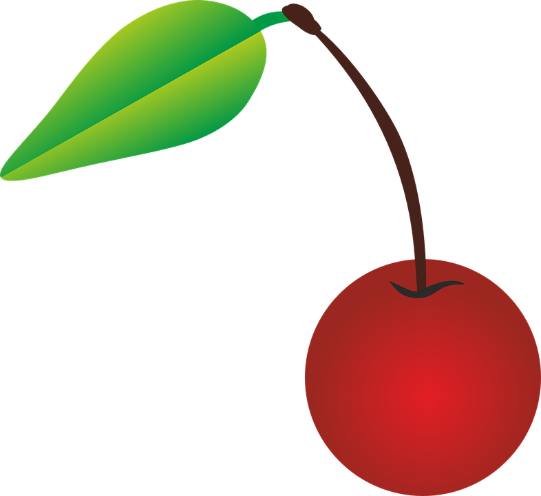 Cherry Vector Transparent PNG Image