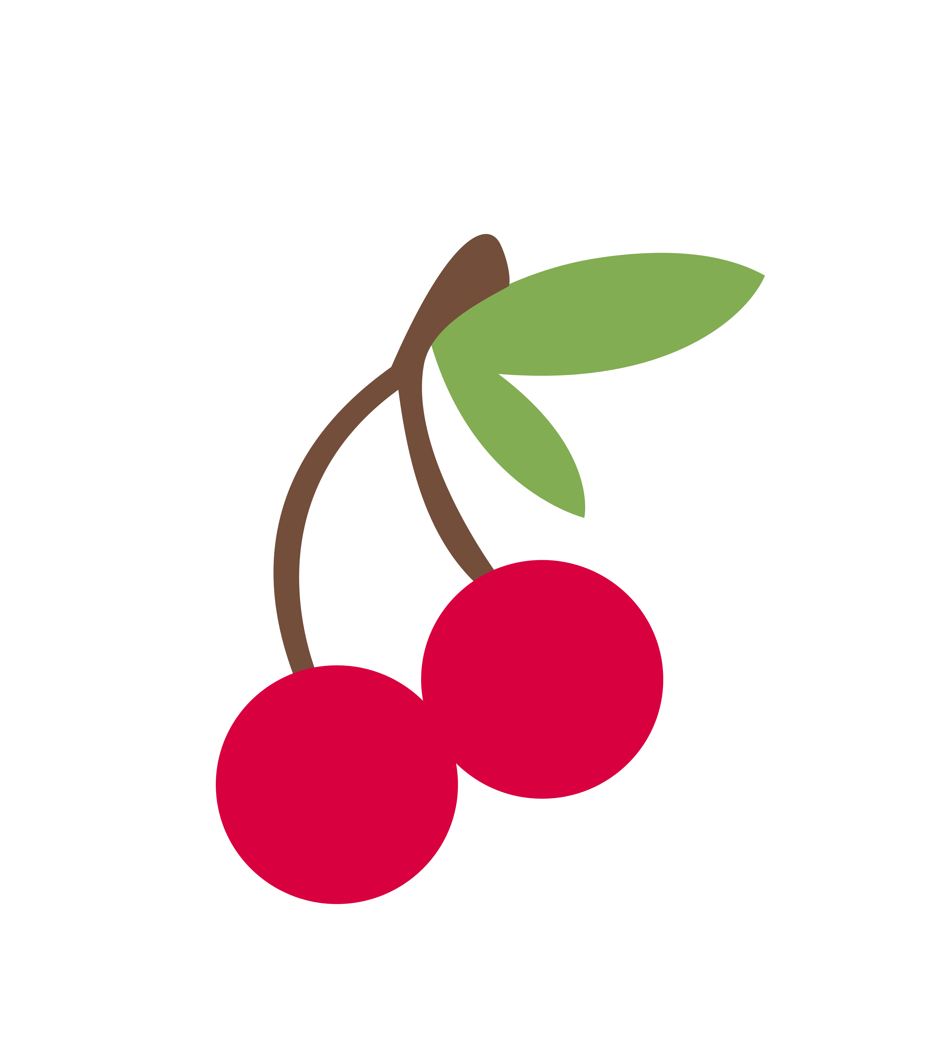 Cherry Vector Background Transparent PNG Image