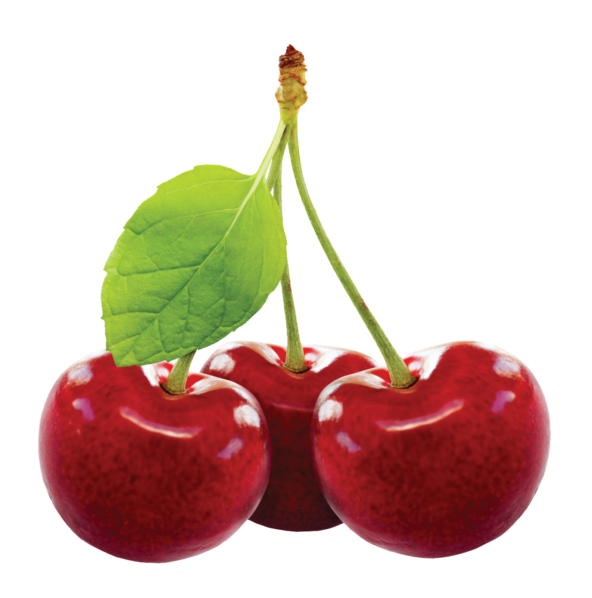 Cherry Fruit Transparent PNG Image
