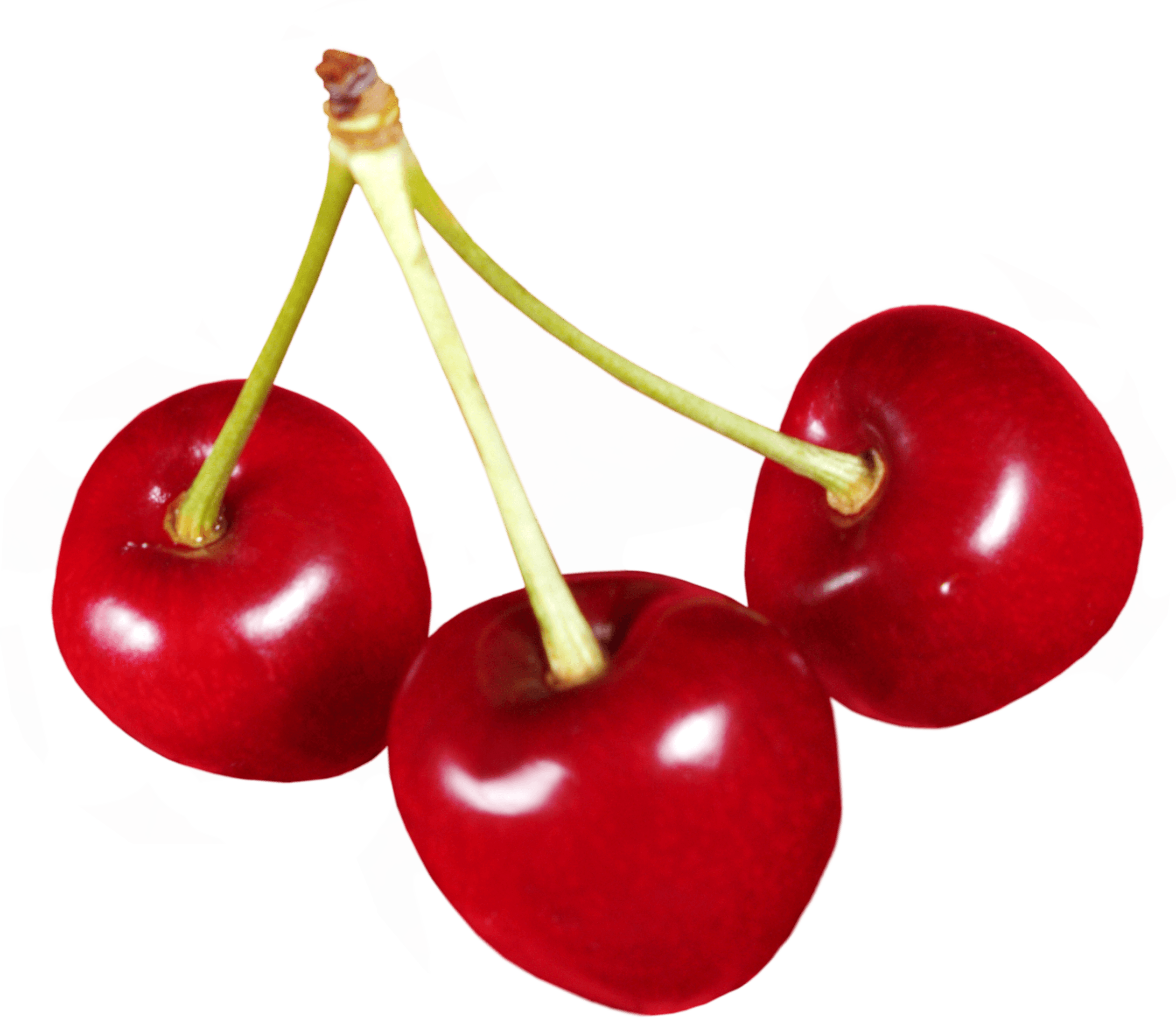 Cherries Transparent PNG Image