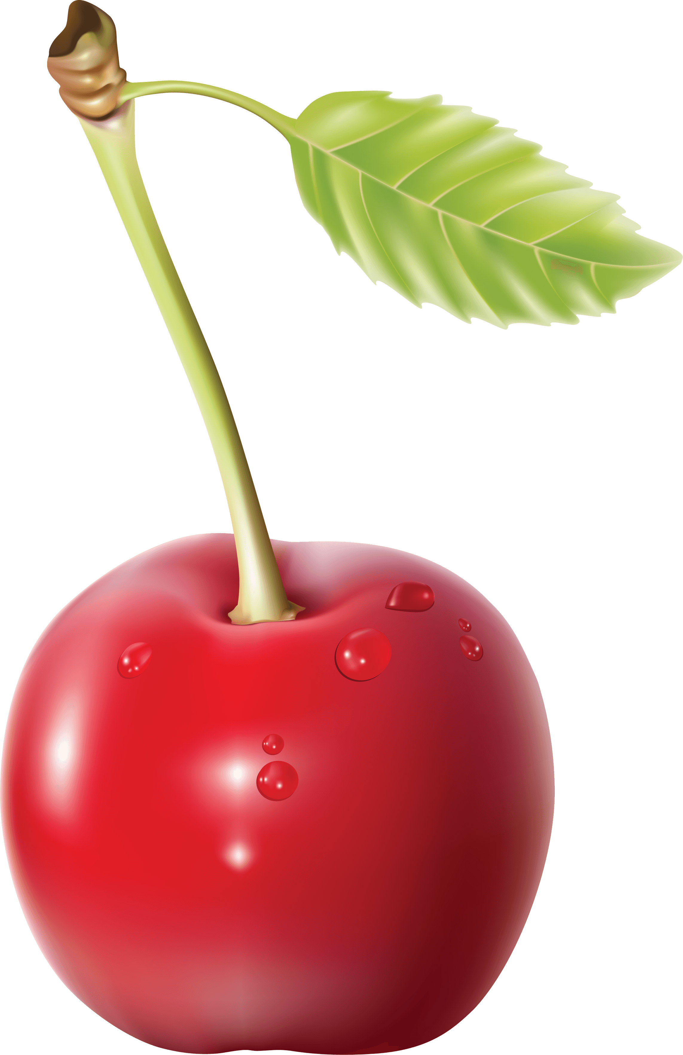 Cherry Transparent PNG Image