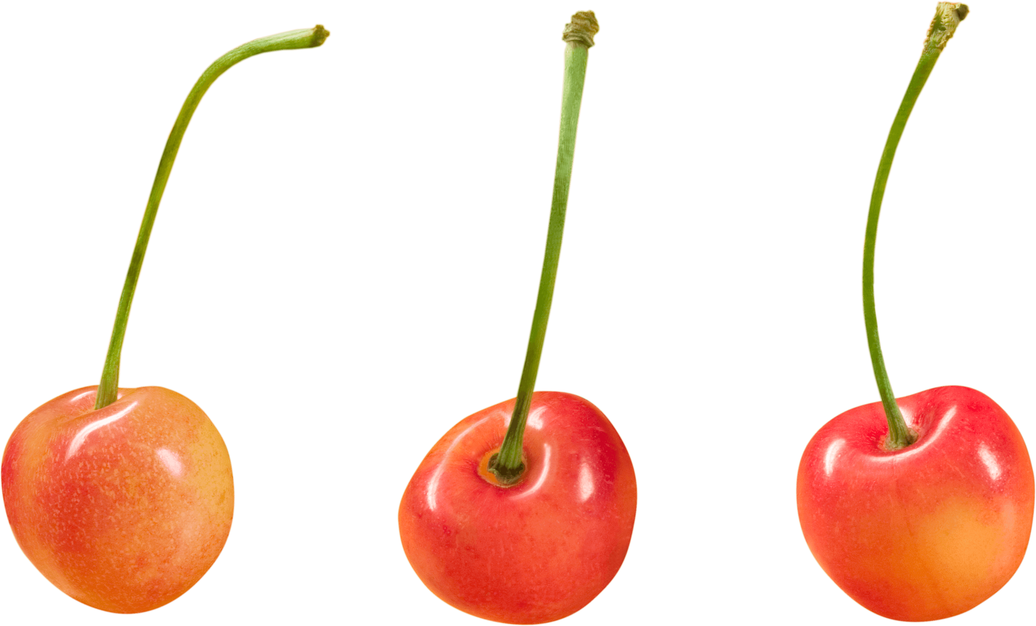 Cherry Transparent PNG Image