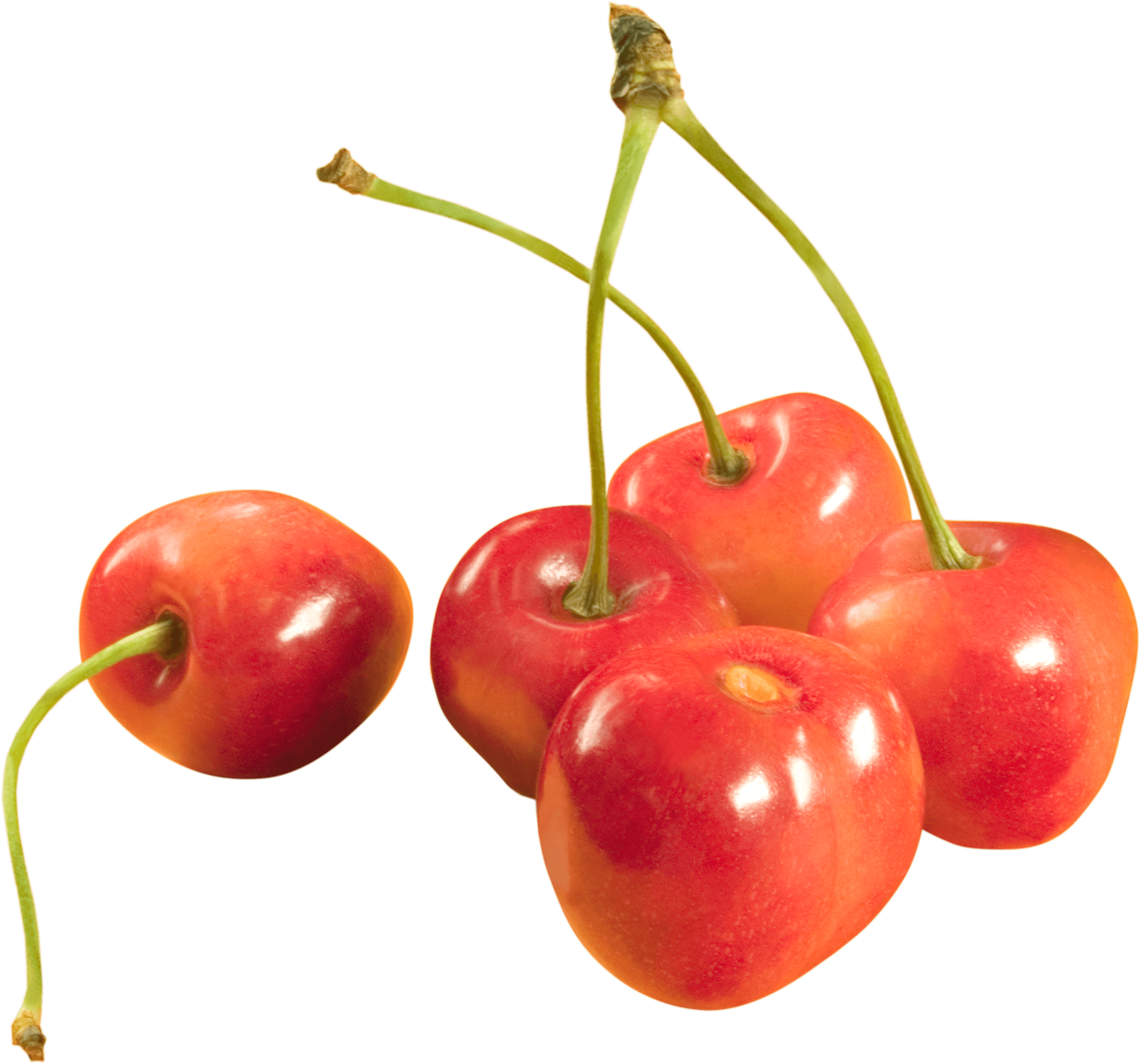 Cherries Transparent PNG Image