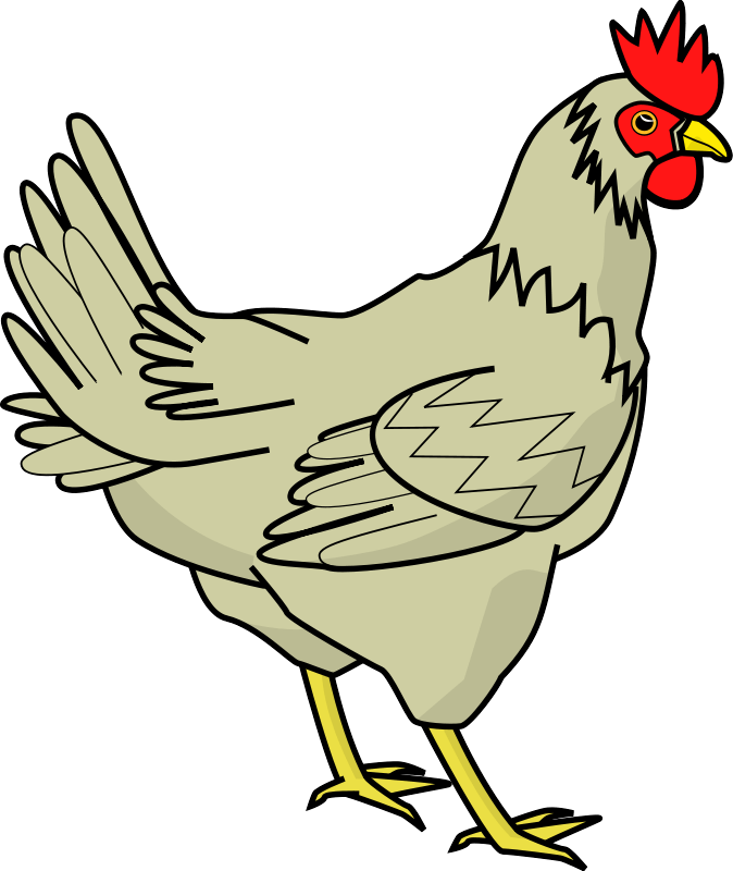 Chicken Transparent PNG Image