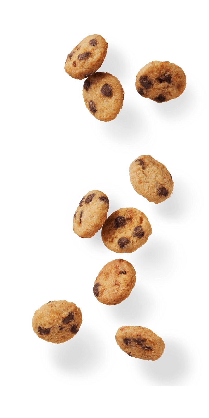 Cookie Chocolate File Transparent PNG Image