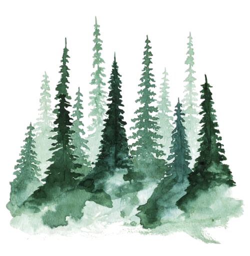 Watercolor Tree Christmas Transparent PNG Image