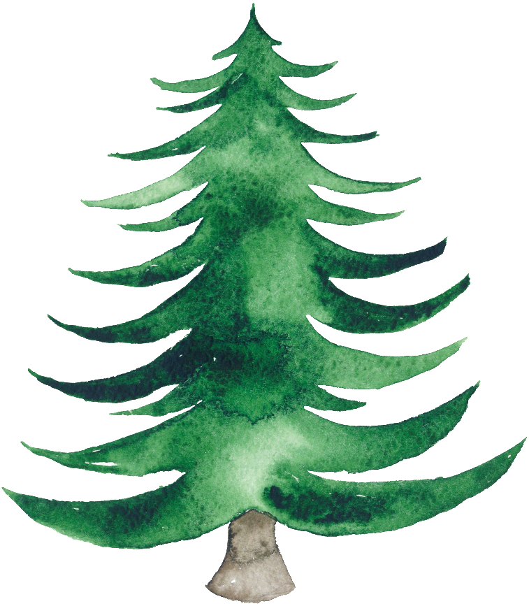 Watercolor Tree Christmas Transparent PNG Image