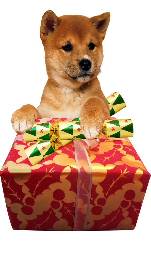 Christmas Animal Transparent PNG Image