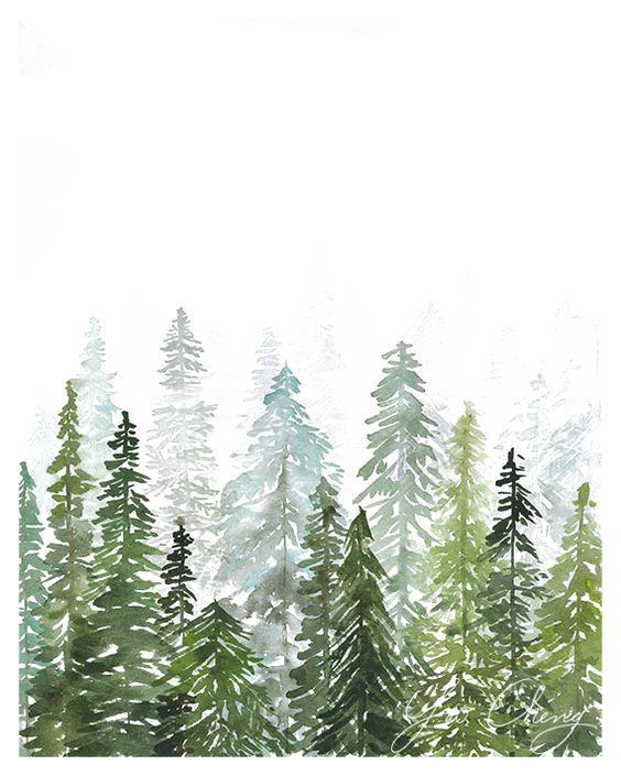Watercolor Tree Christmas Transparent PNG Image