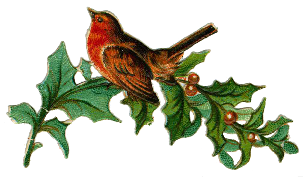 Christmas Bird Transparent PNG Image