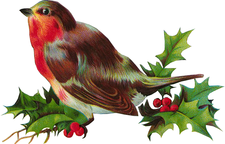 Christmas Bird Transparent PNG Image