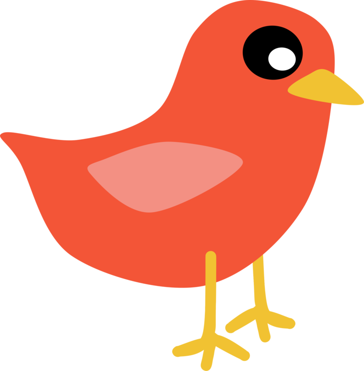 Pic Christmas Bird Transparent PNG Image