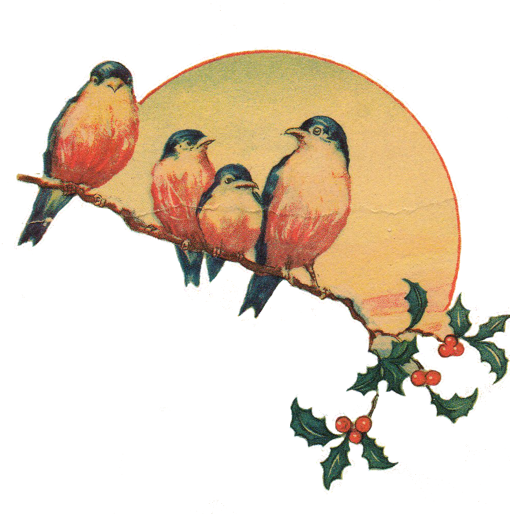 Christmas Bird Transparent PNG Image