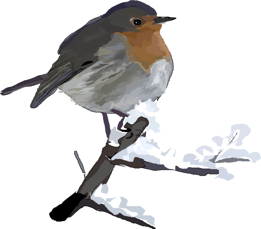 Christmas Bird Transparent PNG Image