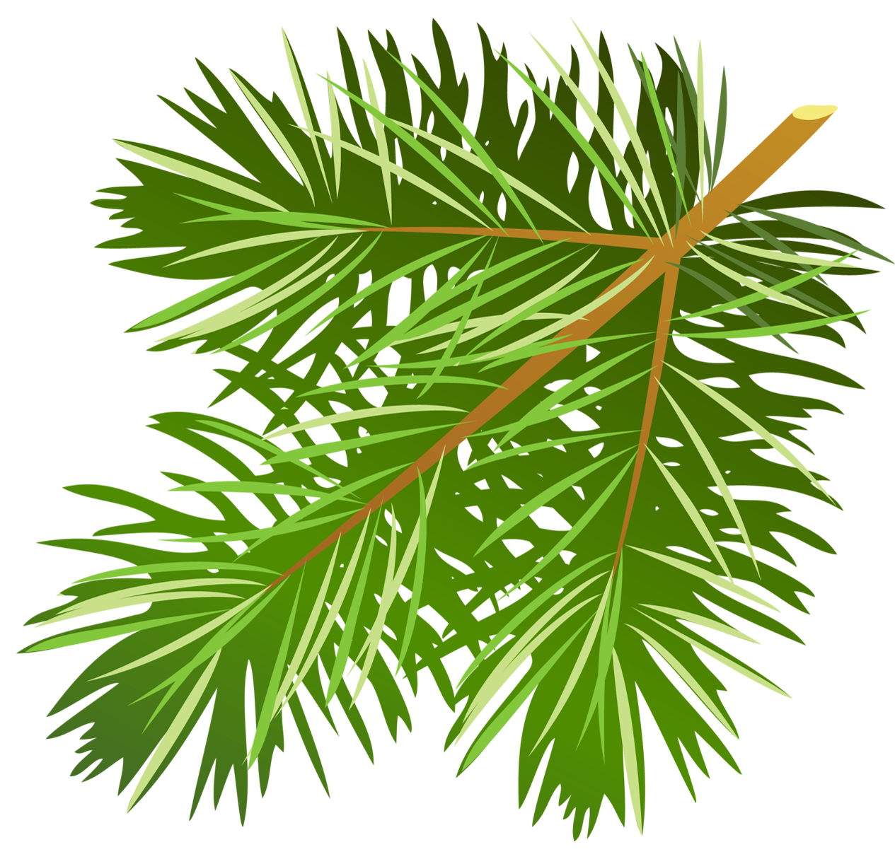 Branches Christmas Transparent PNG Image