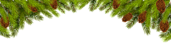 Branches Christmas Transparent PNG Image