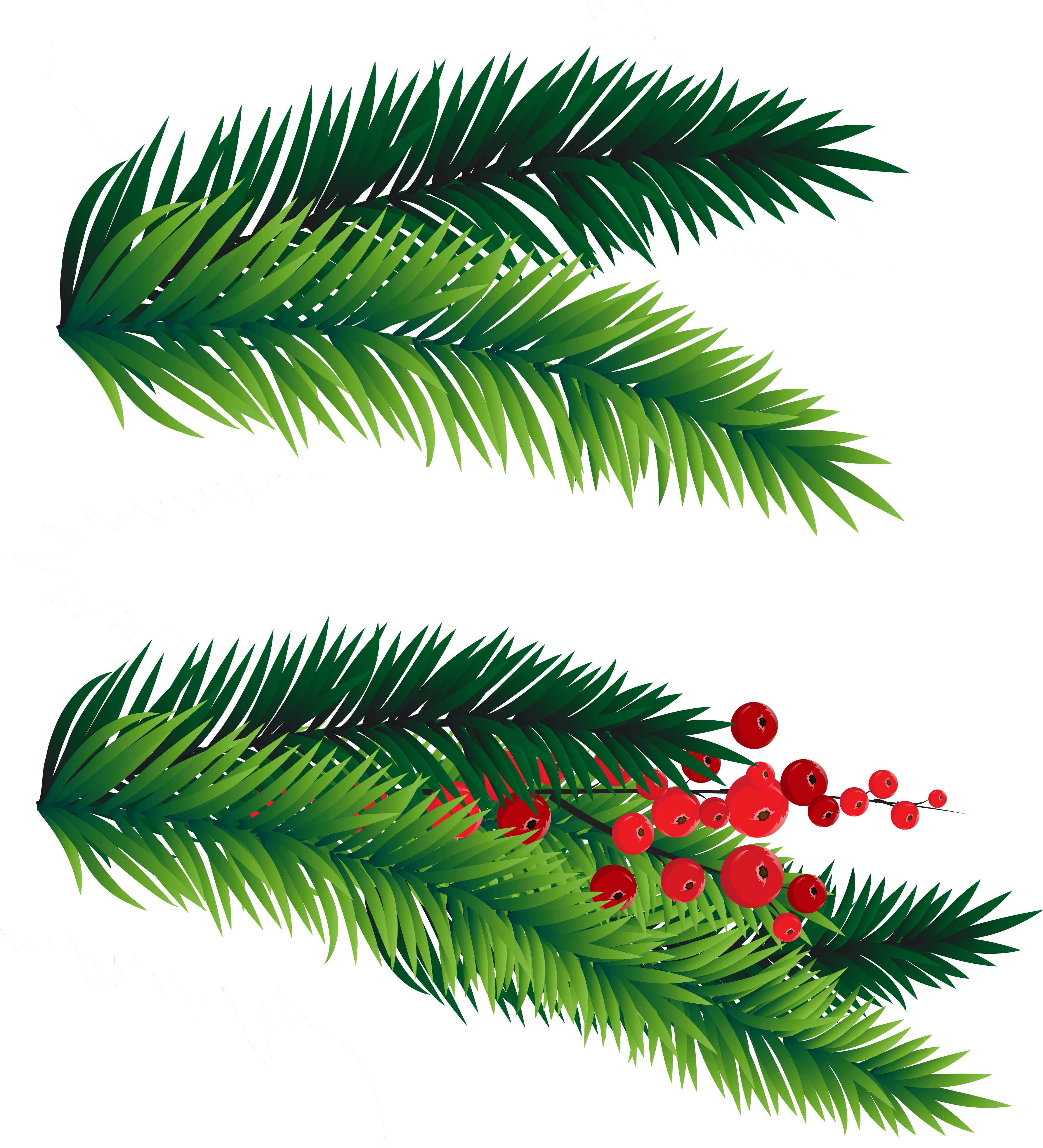 Branches Christmas Transparent PNG Image