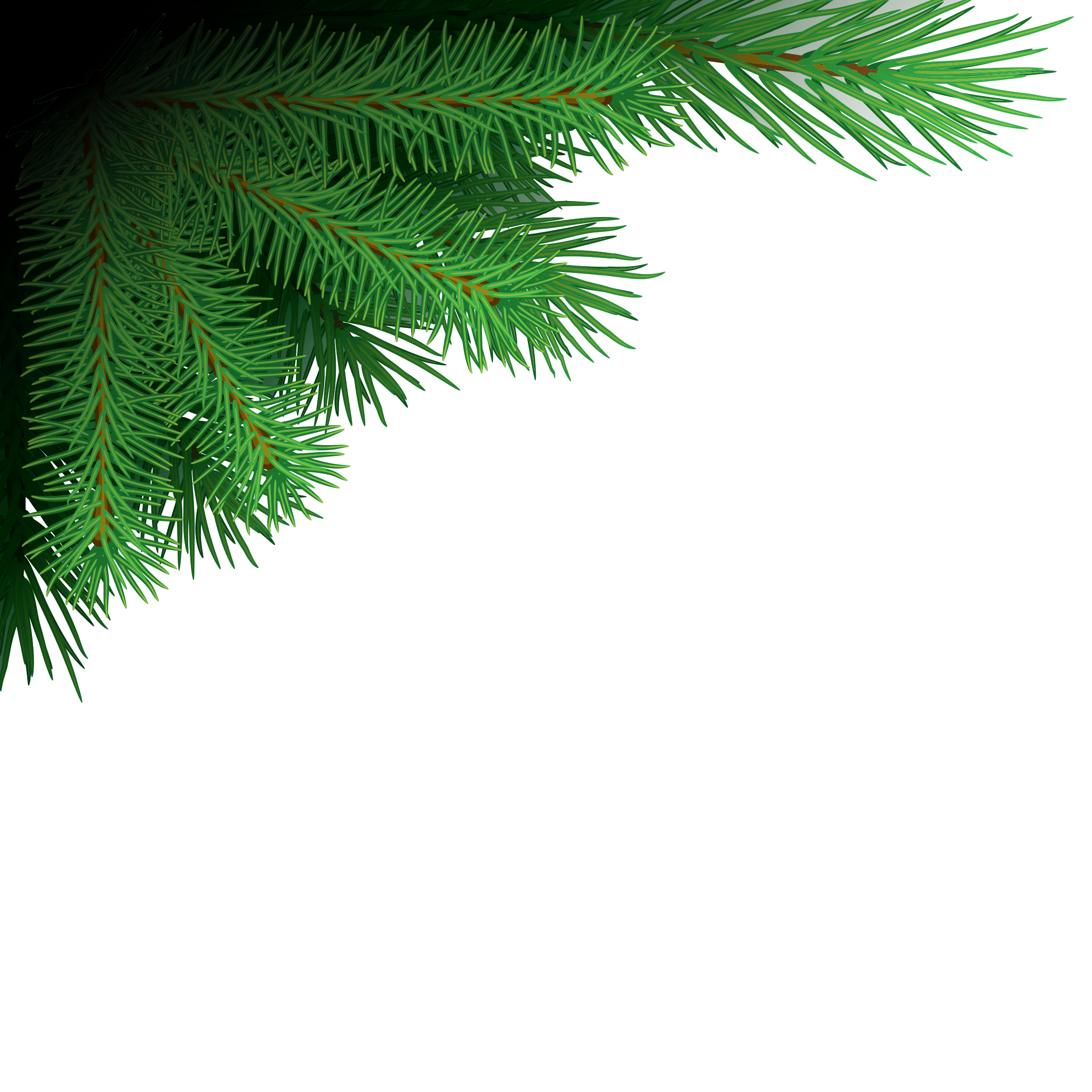 Branches Christmas Transparent PNG Image