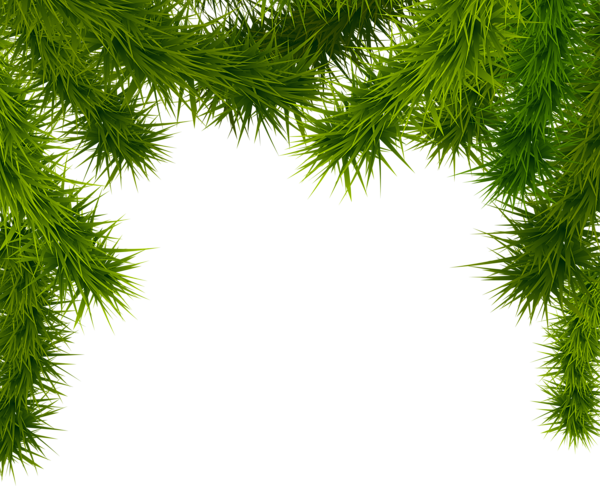 Branches Christmas Transparent PNG Image